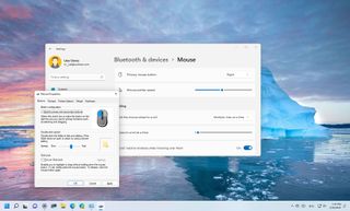 Windows 11 mouse for left-handed settings
