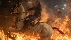 A horse rider plunges through the flames
