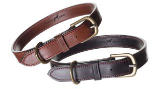 tan & dark brown collar, Red dog company