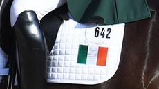 irish-flag.jpg
