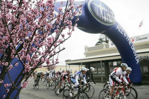 The peloton during Stage 7 of the Tour of the Great South Coast in Koroit