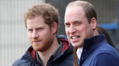 Prince Harry and Prince William