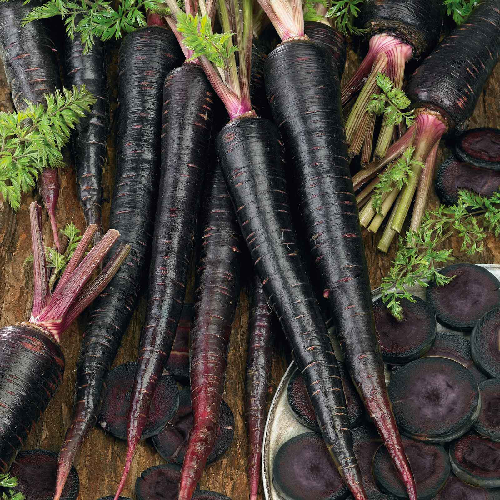 Carrot Seeds - Black Nebula