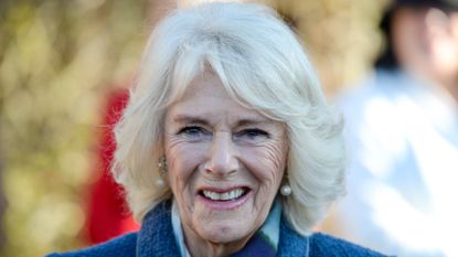 Camilla, Duchess of Cornwall after the service during a visit to Wiltshire on December 02, 2021