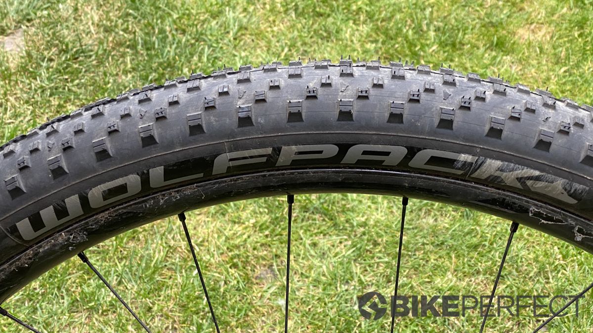 Wolfpack Trail, Speed and Cross mountain bike tire review