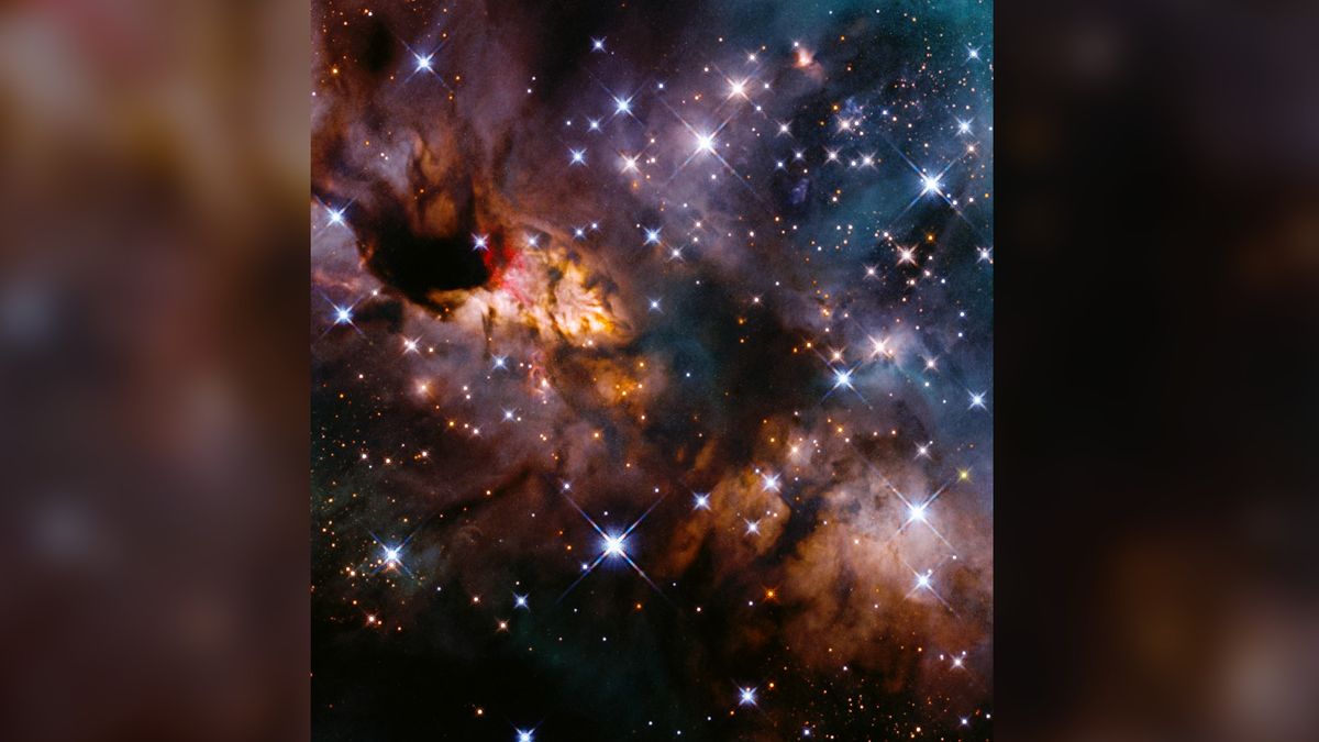 Hubble telescope captures stunning image of the star-forming Prawn Nebula