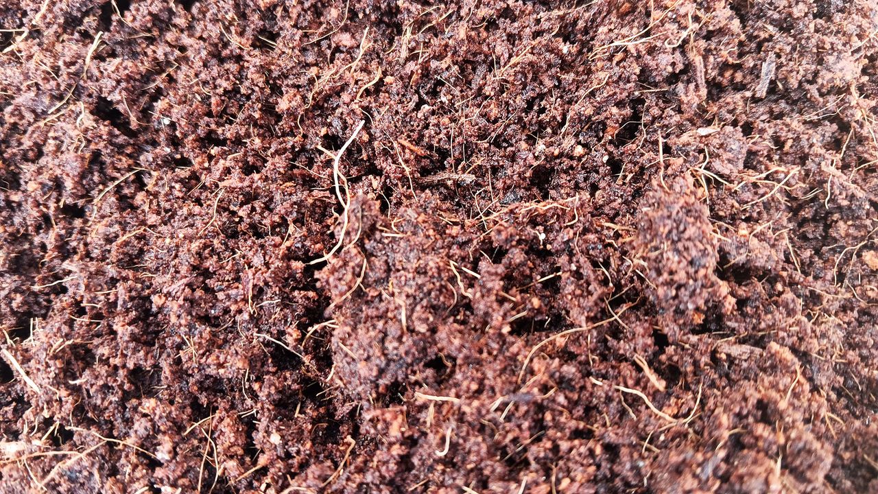 Coir compost