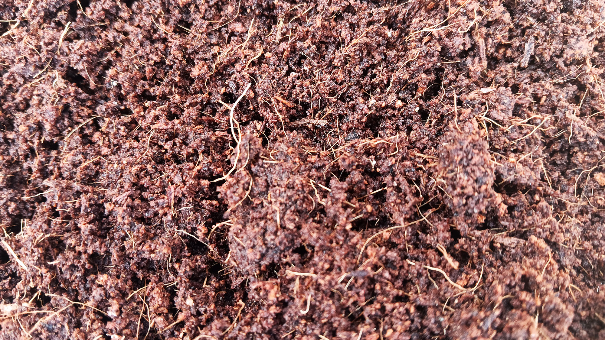 Coconut compost