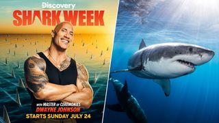 Shark Week 2022 split image - Left side shows The Rock as Shark Week 2022 host, right side shows a Great White Shark