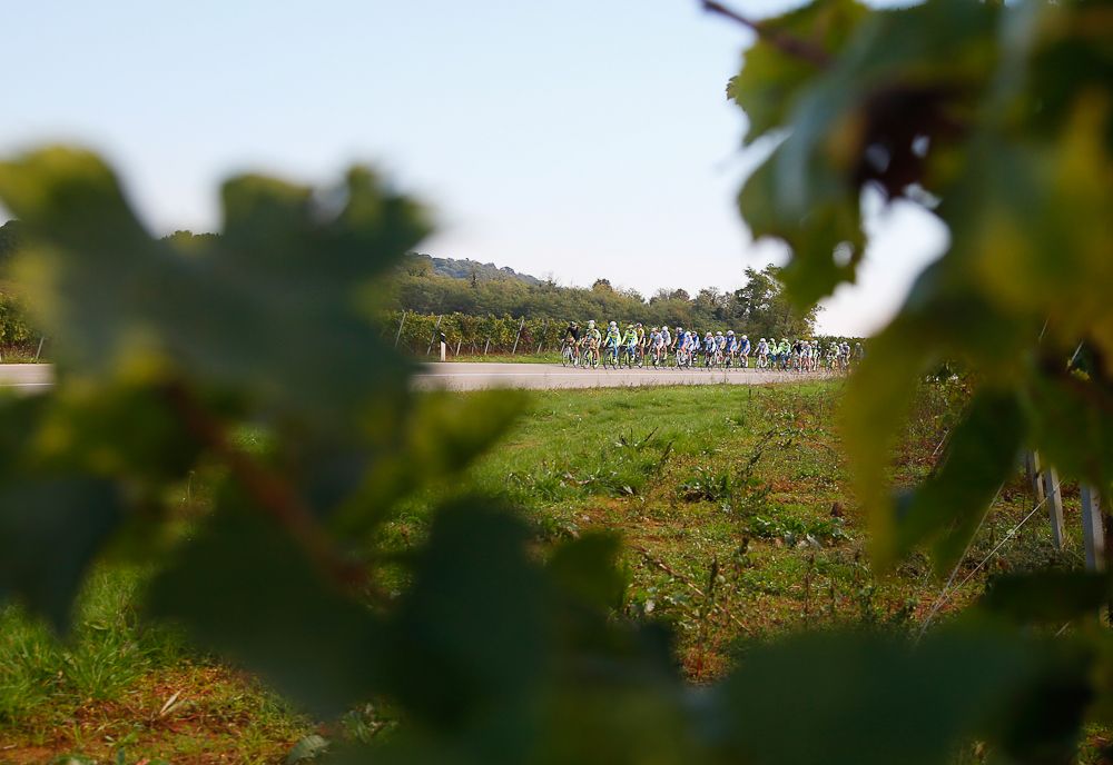 Tinkoff-Saxo riders train this week in Poreč, Croatia.