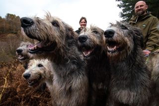 Claire and Jason 'Mav' Moorhouse with their Irish Wolfhounds