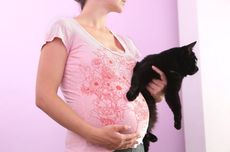 pregnant-woman-cat-11101602