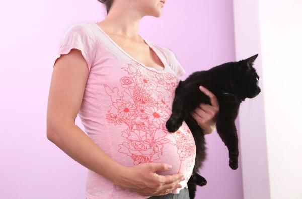 pregnant-woman-cat-11101602