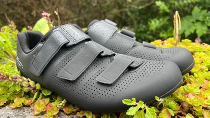 The black Shimano SH-RC102 road cycling shoes on top of greenary 