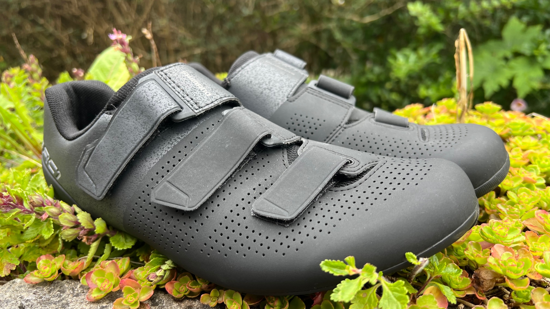 The black Shimano SH-RC102 road cycling shoes on top of greenary 