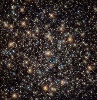 A view from the Hubble Space Telescope of the central region of the star cluster NGC 3201, found in the southern constellation Vela. A star found orbiting a black hole is shown within the blue circle.
