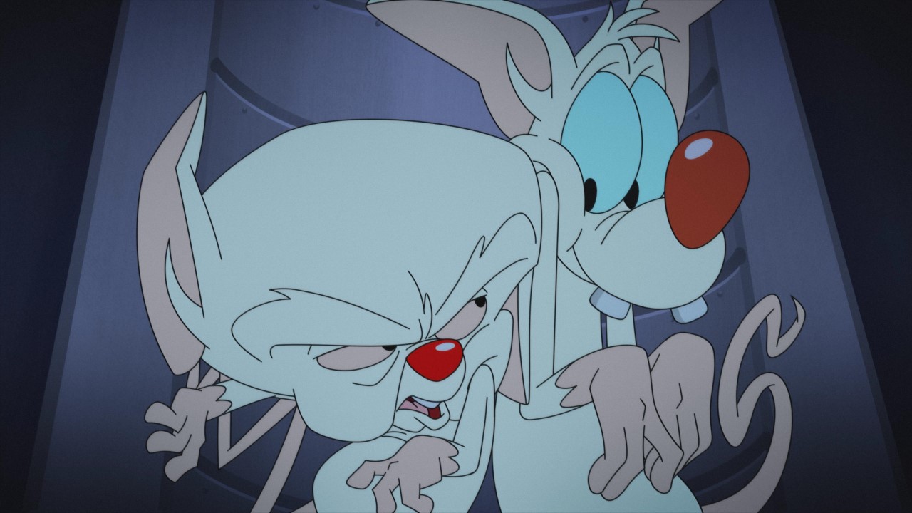 Pinky and Brain clash in season 2 of Animaniacs