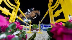 Scott-Brash_Hello-Jefferson&copy;Marco-Villanti_2.jpg