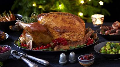 Christmas turkey cooking guide: Turkey cooking times by size and weight
