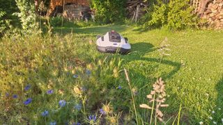 Mammotion Yuka Mini lawnbot