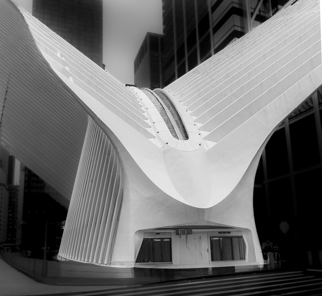 GuruShots - Monochrome Moments Jan 26