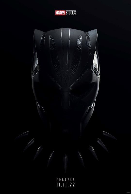 Black Panther: Wakanda Forever poster