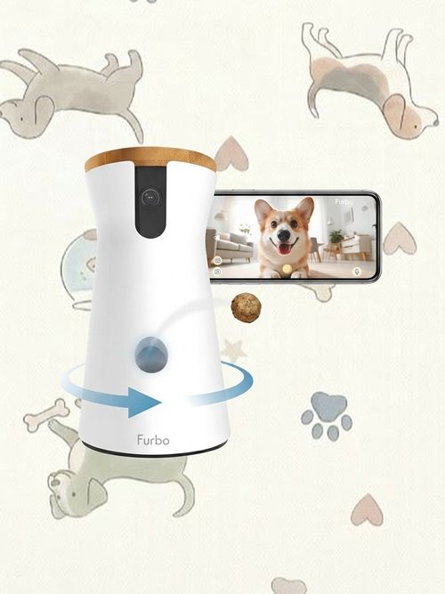 Pet Security Cam&nbsp;