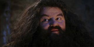 Hagrid after letting Harry Potter know he's a wizard