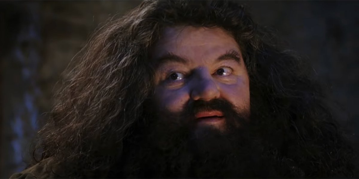 Hagrid after letting Harry Potter know he&#039;s a wizard