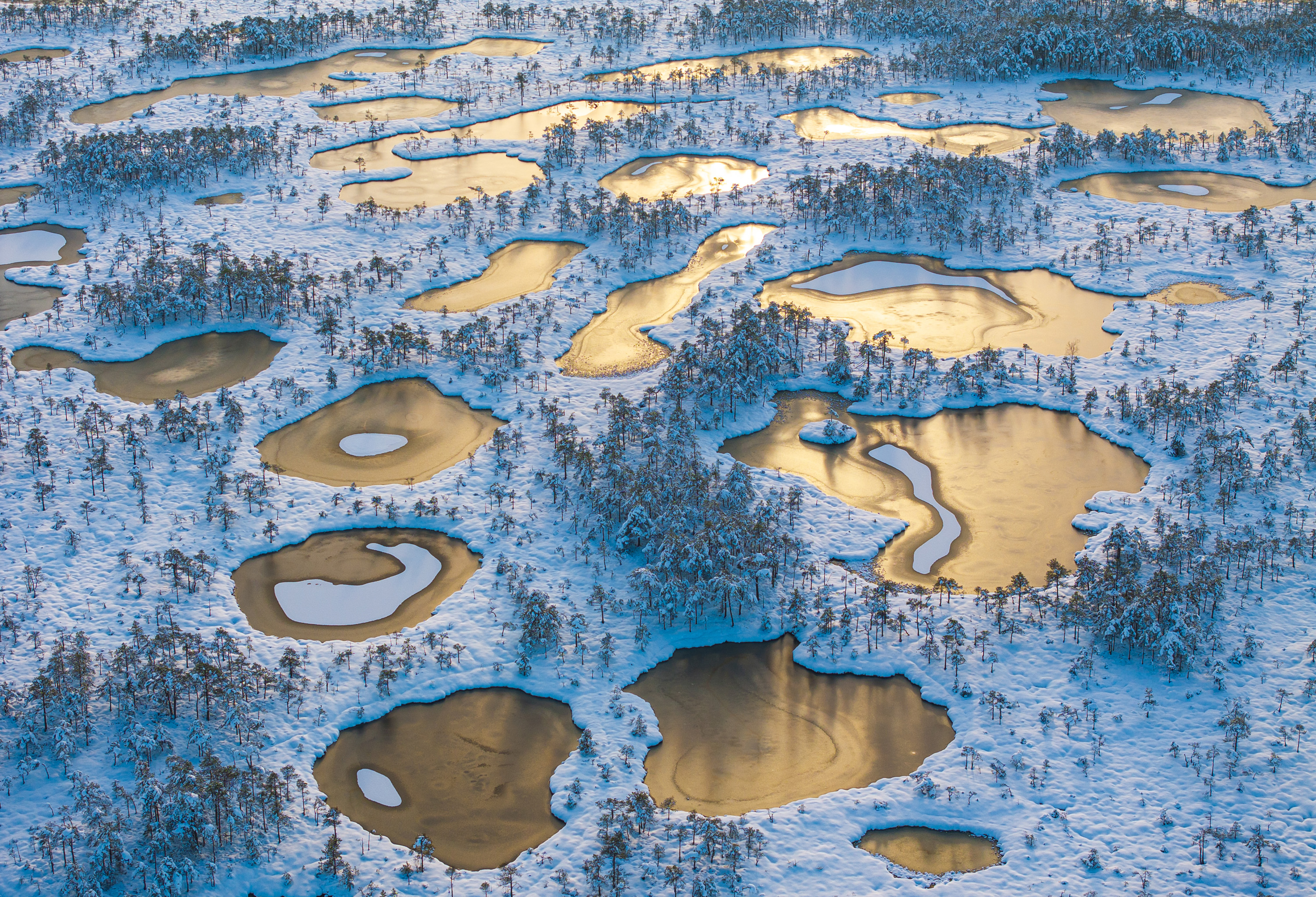 Aerial view of a snowy bog landscape with numerous pools of water reflecting the golden light of the sun.