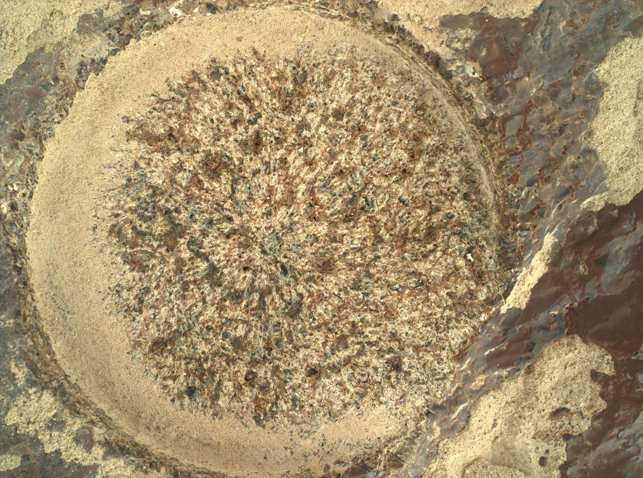 These close-up photos show the drill marks mark on a layered Mars rock under study by NASA's Perseverance rover for possible sample collection in November 2021.