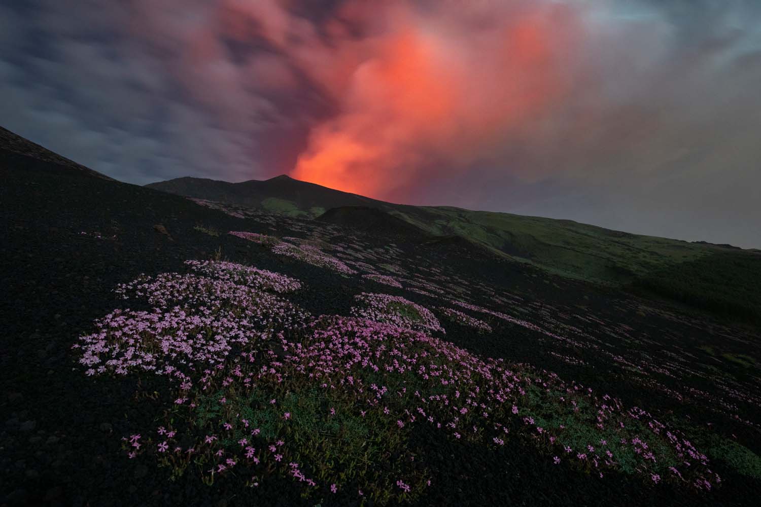 European Wildlife Photographer of the Year 2022