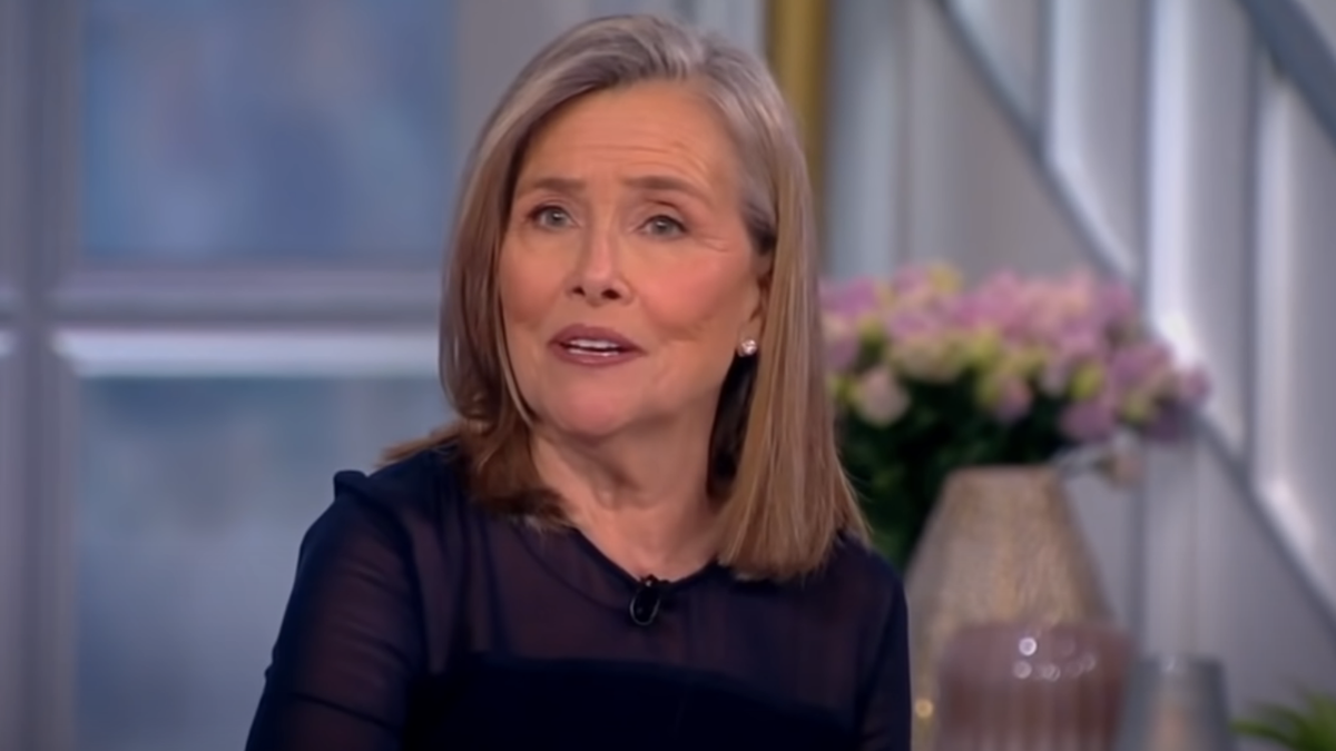 Meredith Vieira Fakes