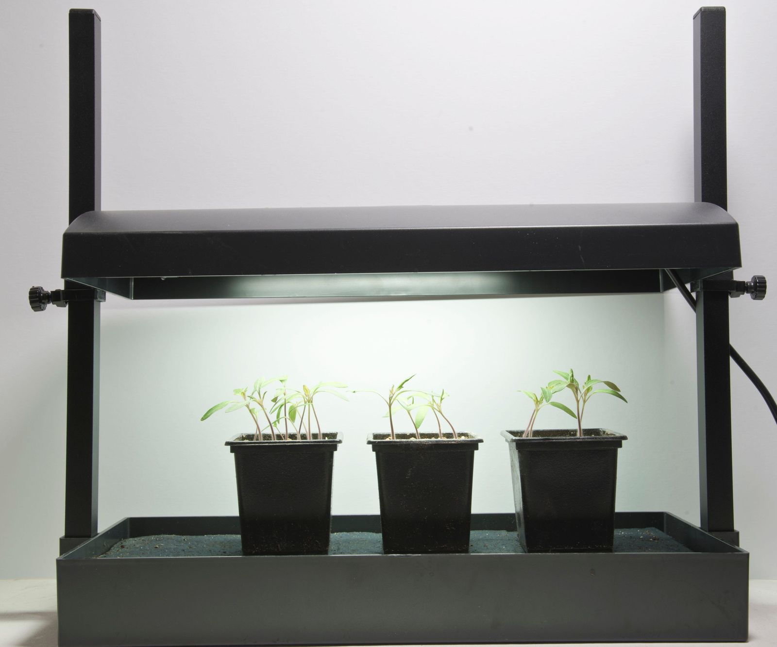 When to use grow lights and how long to use grow lights Homes & Gardens