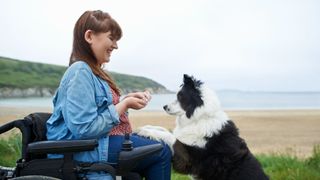 Woman, who is using a wheelchair, preparing to give a treat to a border collie who has his front paws on her knees. In the background, you can see the beach.