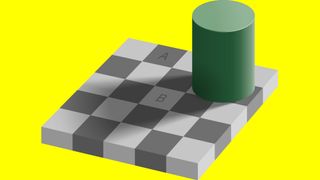 This perplexing optical illusion has my brain in check mate
