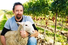 Tawse-Winery-Paul-Pender-Sheep