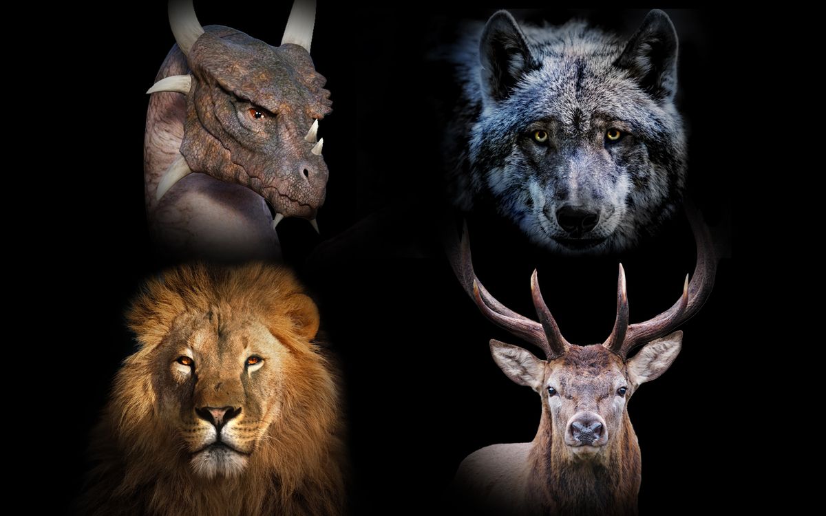 If the Animals from 'Game of Thrones' Houses Battled, Which One Would