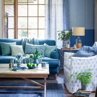 sky blue coloured sofa with wooden table and potted plant