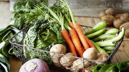Easiest vegetables to grow – vegetable basket