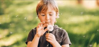 Boy holding dandelion