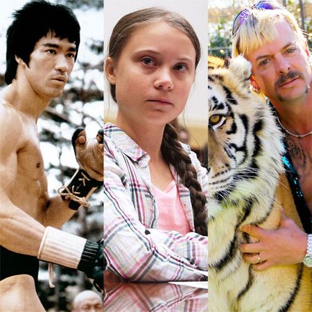 Tiger, Bengal tiger, Felidae, Wildlife, Big cats, Siberian tiger, Carnivore, Terrestrial animal, Adaptation, Organism, 