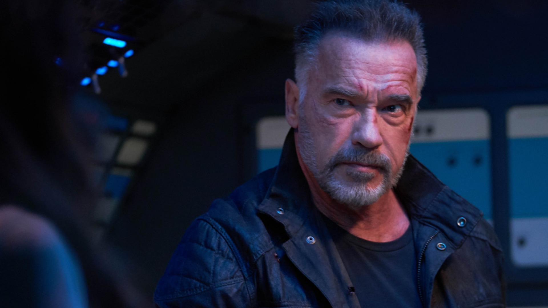 New Netflix spy series with Arnold Schwarzenegger rounds out cast