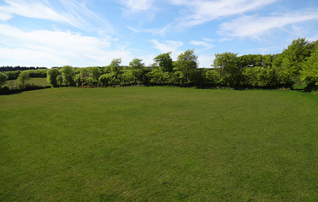 Field