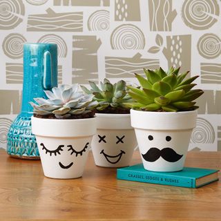 white designed plant pots with book and blue pot