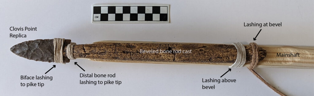 Uma réplica de uma arma que caçadores de Clovis podem ter usado para empalar mamutes. A arma é feita de uma ponta de pedra, uma haste longa de madeira e uma haste de osso mais curta.