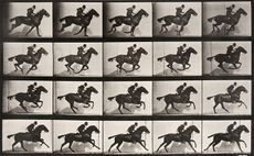 Animal-Locomotion-Plate-628-Man-Riding-Galloping-Horse.jpeg