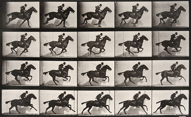 Animal-Locomotion-Plate-628-Man-Riding-Galloping-Horse.jpeg