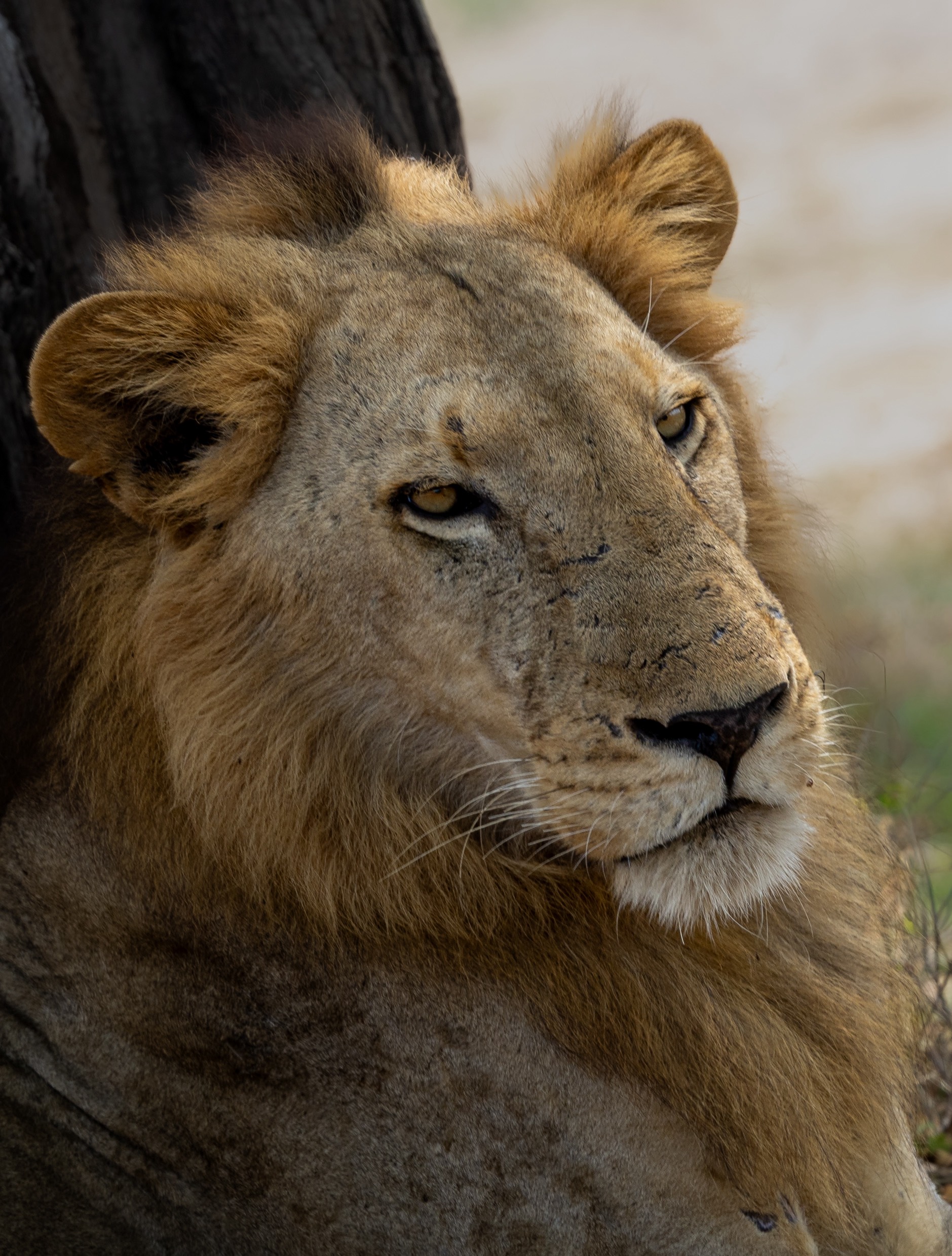 GuruShots - Nature&amp;rsquo;s Masterpiece 2026