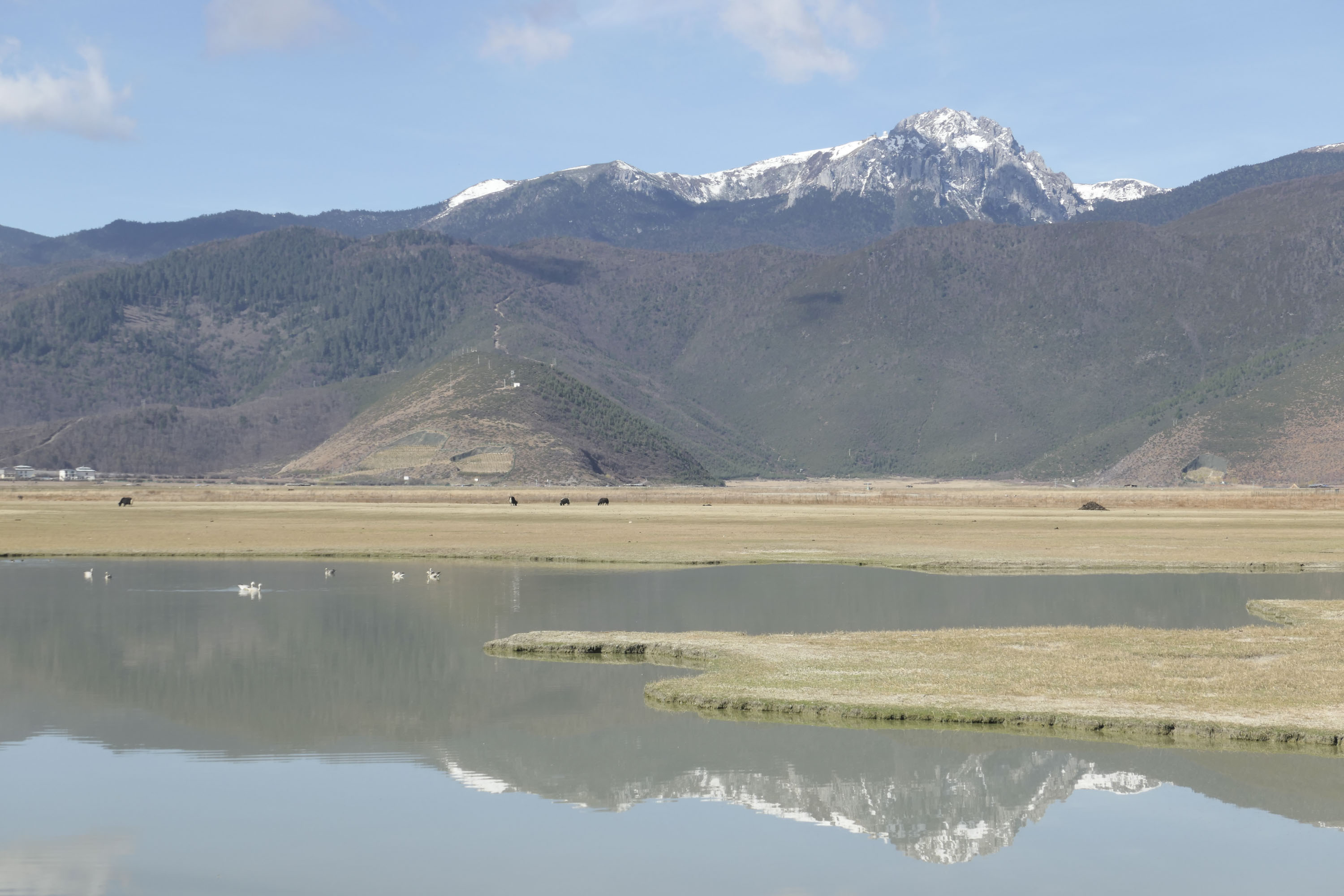 A snowcapped mountain, reflected in a perfectly still lake
